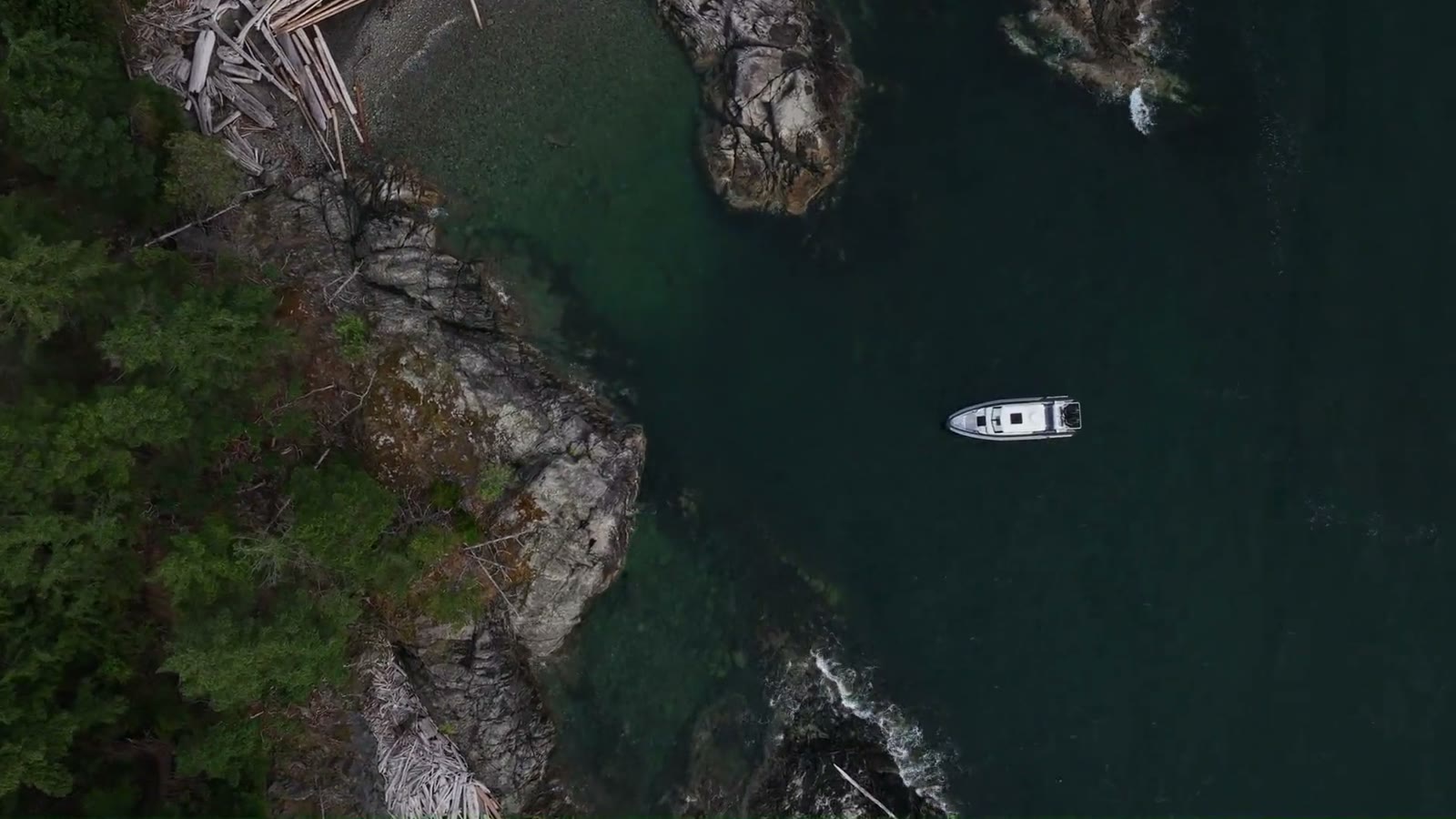 A Protector RIB running along the British Columbia coast