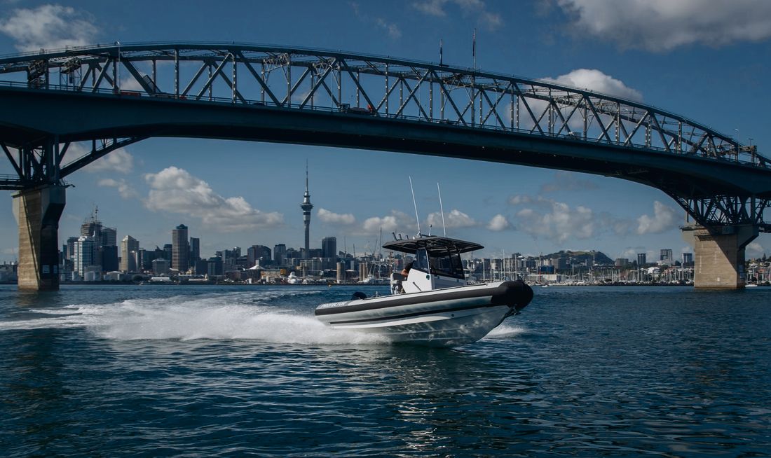Protector 250 Chase RIB, gallery photo 6 of 7