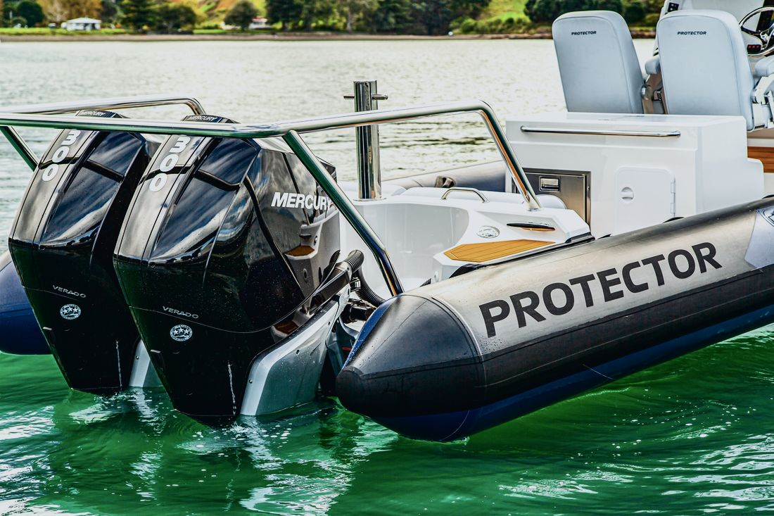 Protector 310 Chase RIB, gallery photo 4 of 6
