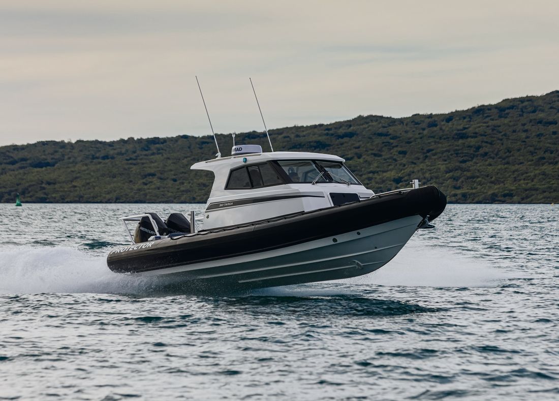 Protector 310 Targa RIB, gallery photo 5 of 8