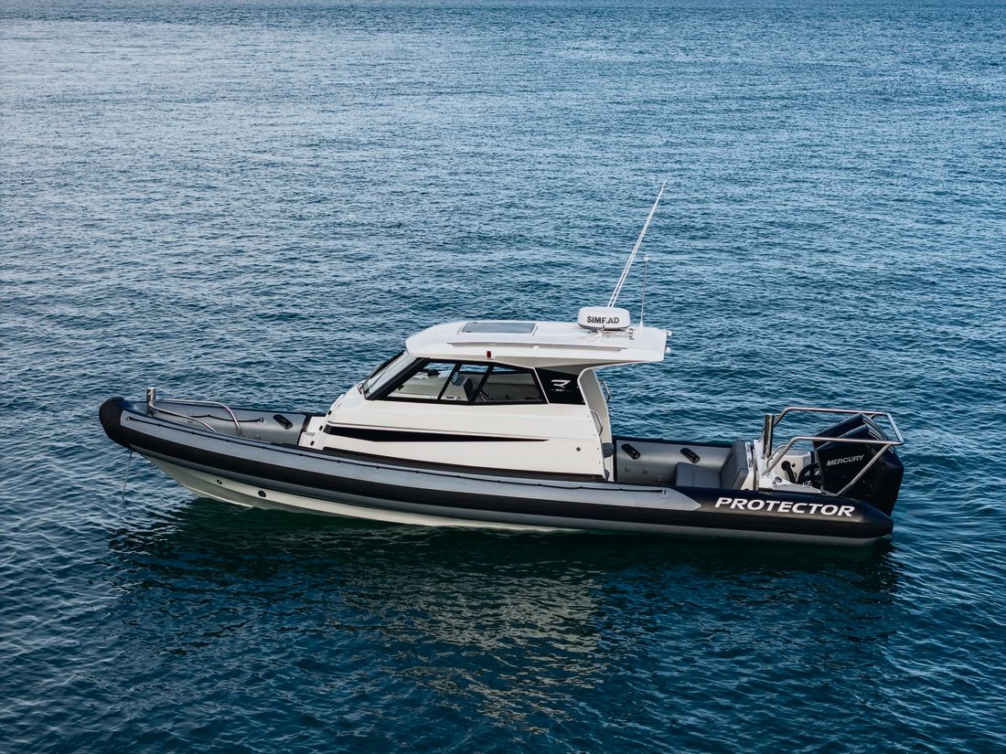 Protector 310 Targa RIB, gallery photo 8 of 8