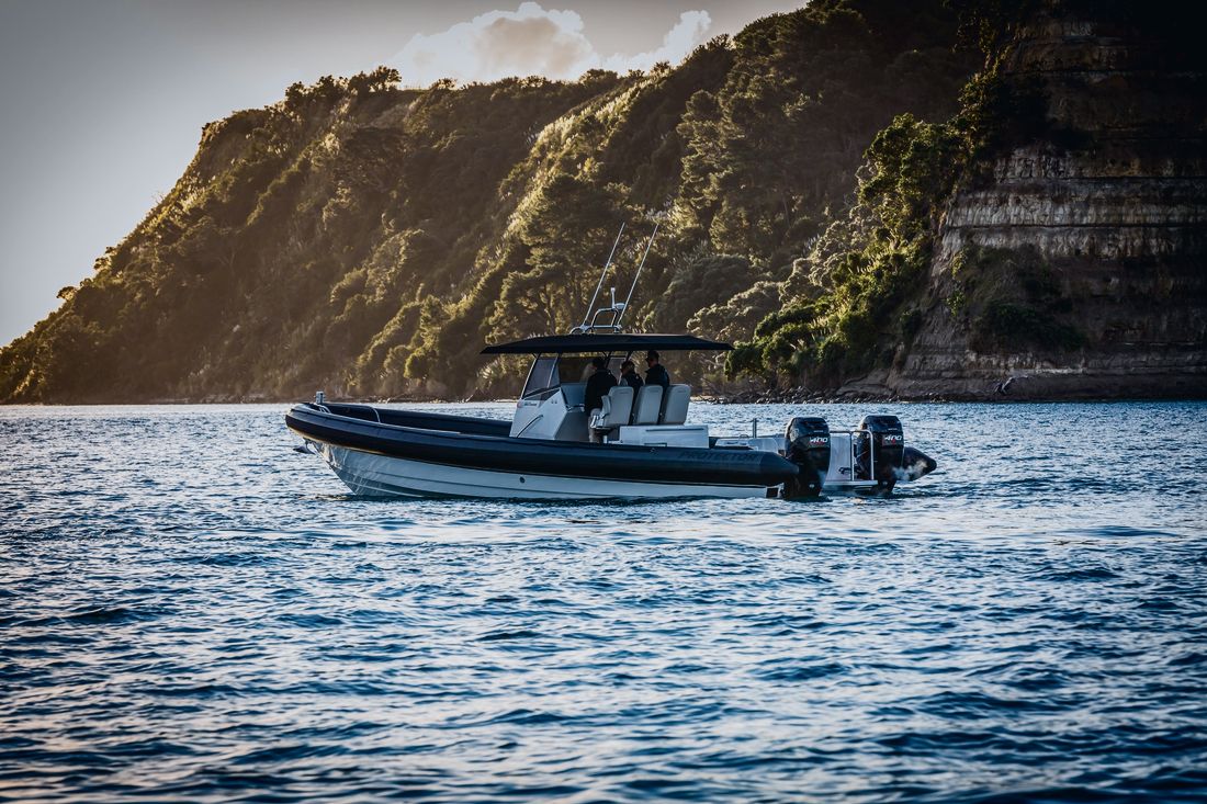 Protector 380 Chase RIB, gallery photo 2 of 5